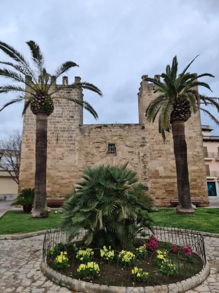 Pollentia: A Roman Municipium near Alcúdia, Spain 10 Pollentia