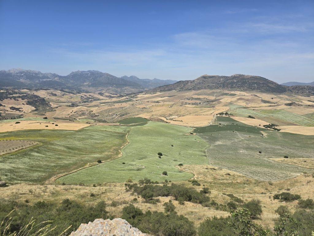 Acinipo: An Ancient Roman City near Ronda, Spain 5 Acinipo