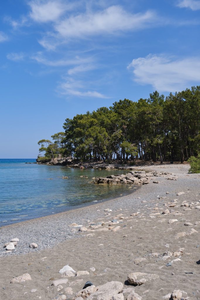 Phaselis Ancient City: A Greek Port and Roman City in Türkiye 2 Phaselis Ancient City