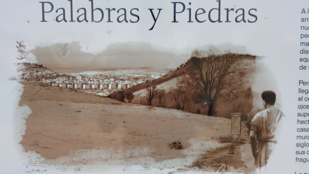 Cara: A Roman Stipendiary Town in Spain 10 Cara