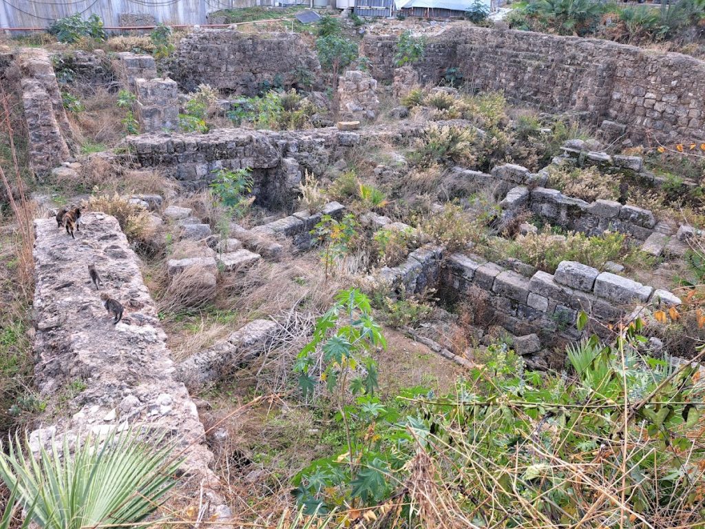 Roman Forum of Beirut: Civic Center of Roman Berytus 3 Roman Forum of Beirut
