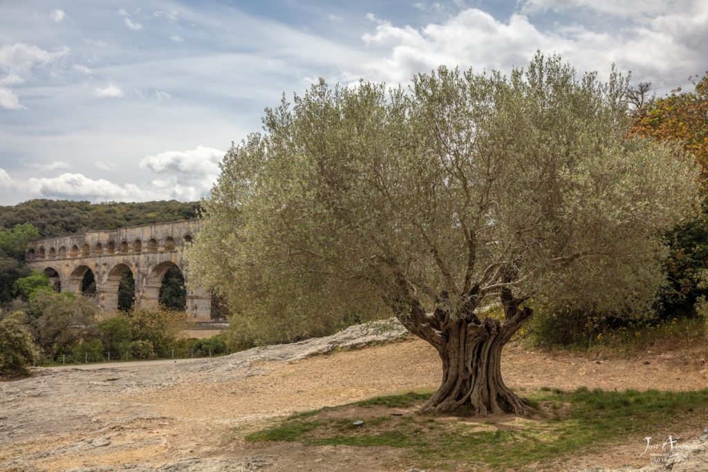 Pont du Gard: Roman Aqueduct Bridge in France 5 Pont du Gard