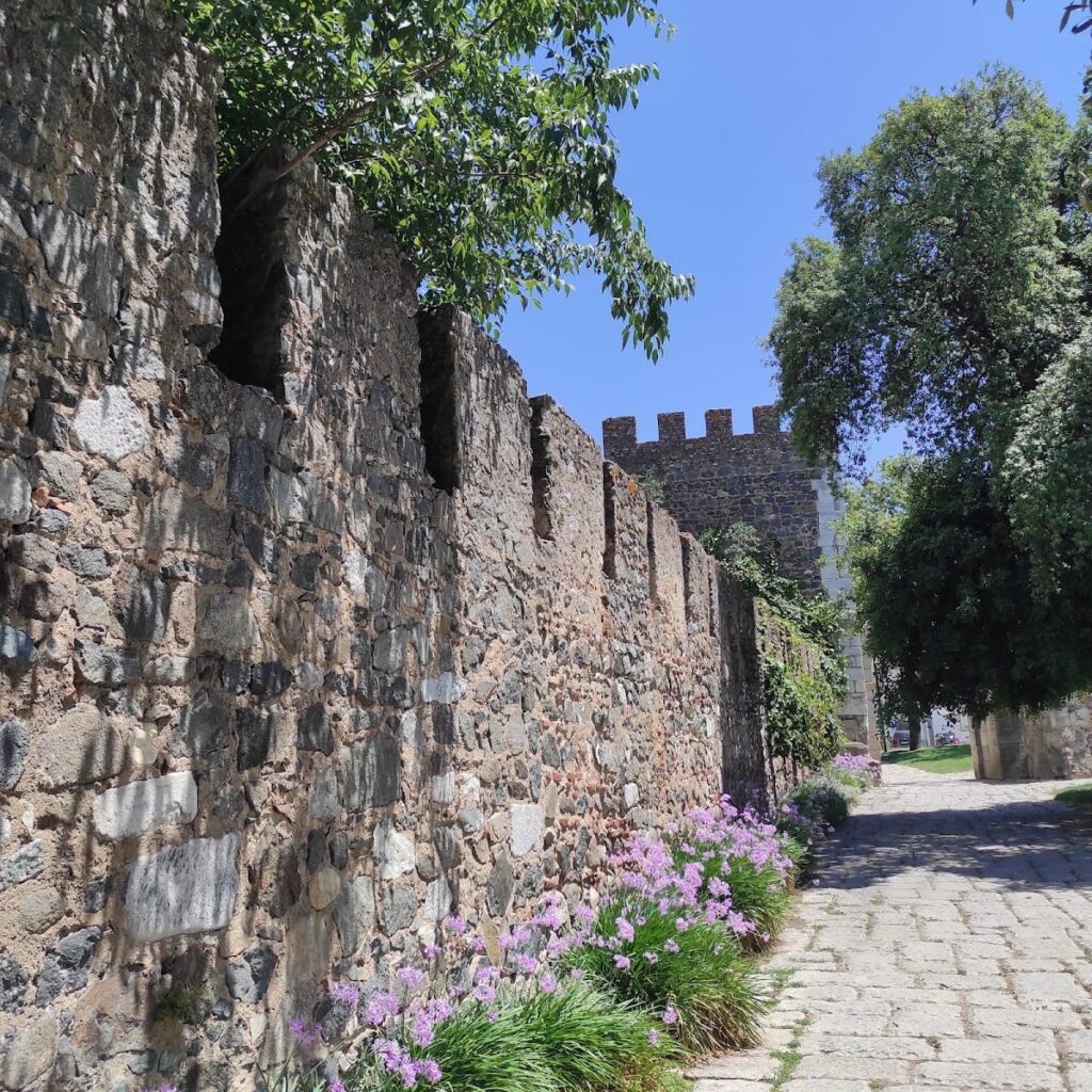 Évora Aqueduct: Água de Prata 10 Aqueduct of Évora