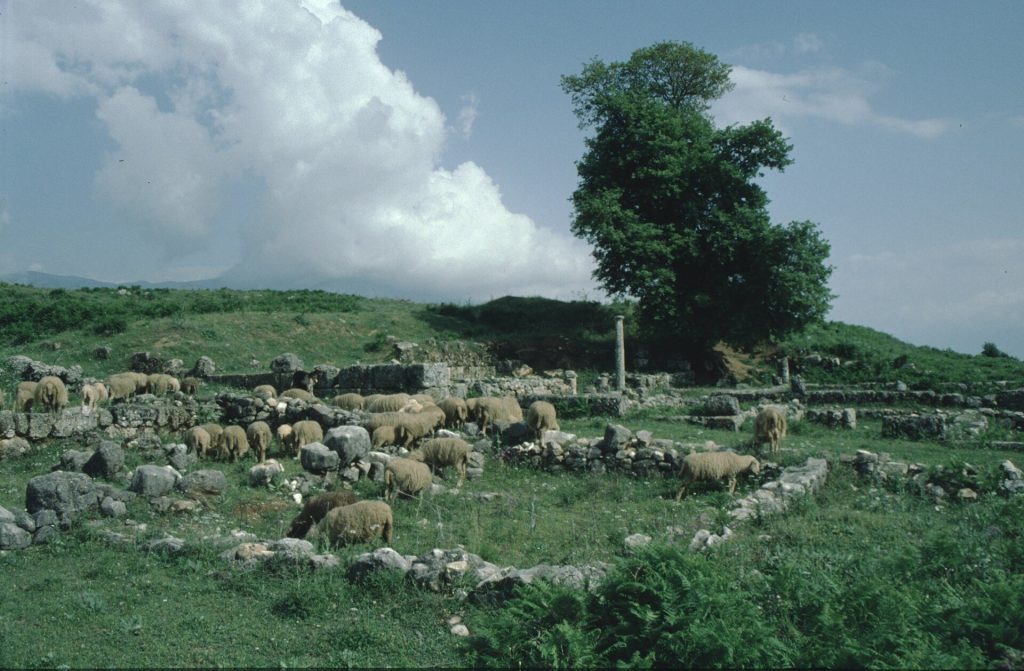 Archaeological Park of Antigona: An Ancient Greek City in Albania 2 Archaeological Park of Antigona