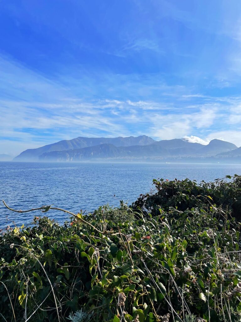 Roman villa of Pollio Felice