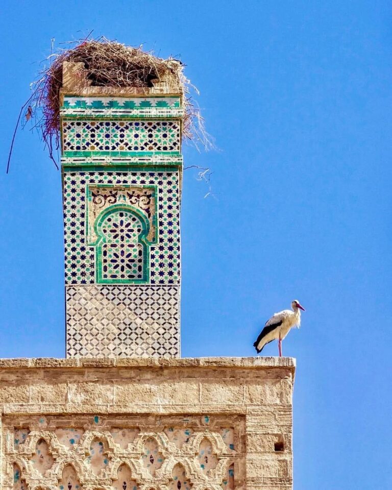 Chellah (Sala Colonia): Phoenician–Roman city and Marinid necropolis in Rabat, Morocco