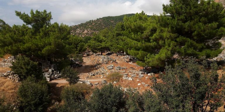 Priene Ruins: An Ancient Greek City-State in Türkiye