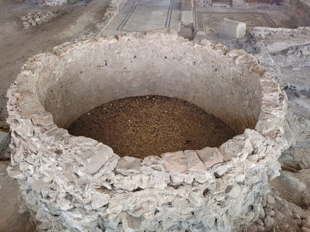 The Surgeon’s House: A Roman Medical Residence in Rimini, Italy 3 The Suegeon's House