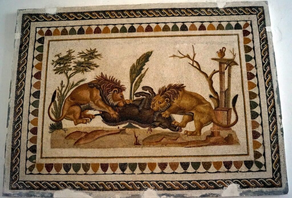 El Jem Museum: A Roman Archaeological Museum in Tunisia 3 El Jem Museum