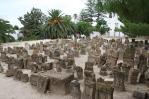 Phoenician Sites: Explore Coastal Cities, Sanctuaries and Punic Settlements