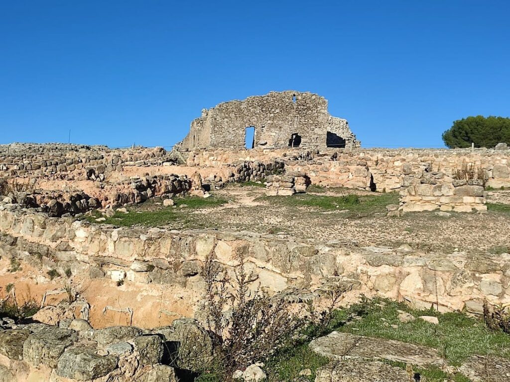 Recópolis Archaeological Park: A Visigothic City in Spain 8 Archaeological Park Recópolis