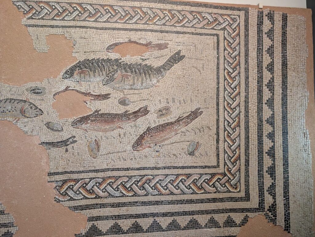Alba-la-Romaine Archaeological Site and Museum