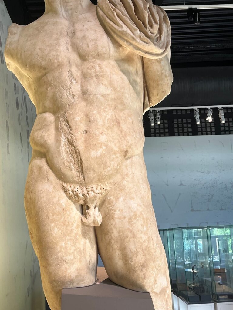 Alba-la-Romaine Archaeological Site and Museum