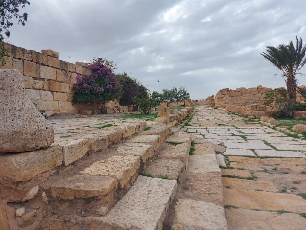 Sufetula Archaeological Site: A Roman and Byzantine City in Tunisia 5 Sufetula Archaeological Site
