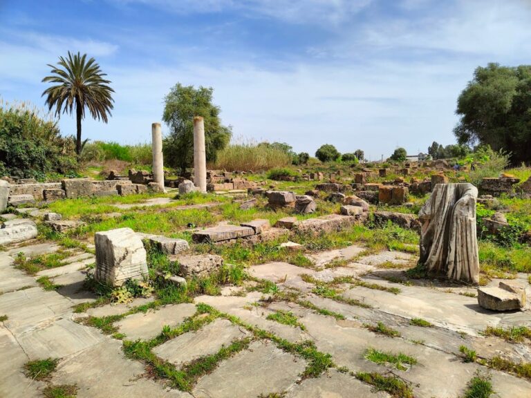 Hippo Regius: A Historic Mediterranean Port and Episcopal Center in Algeria