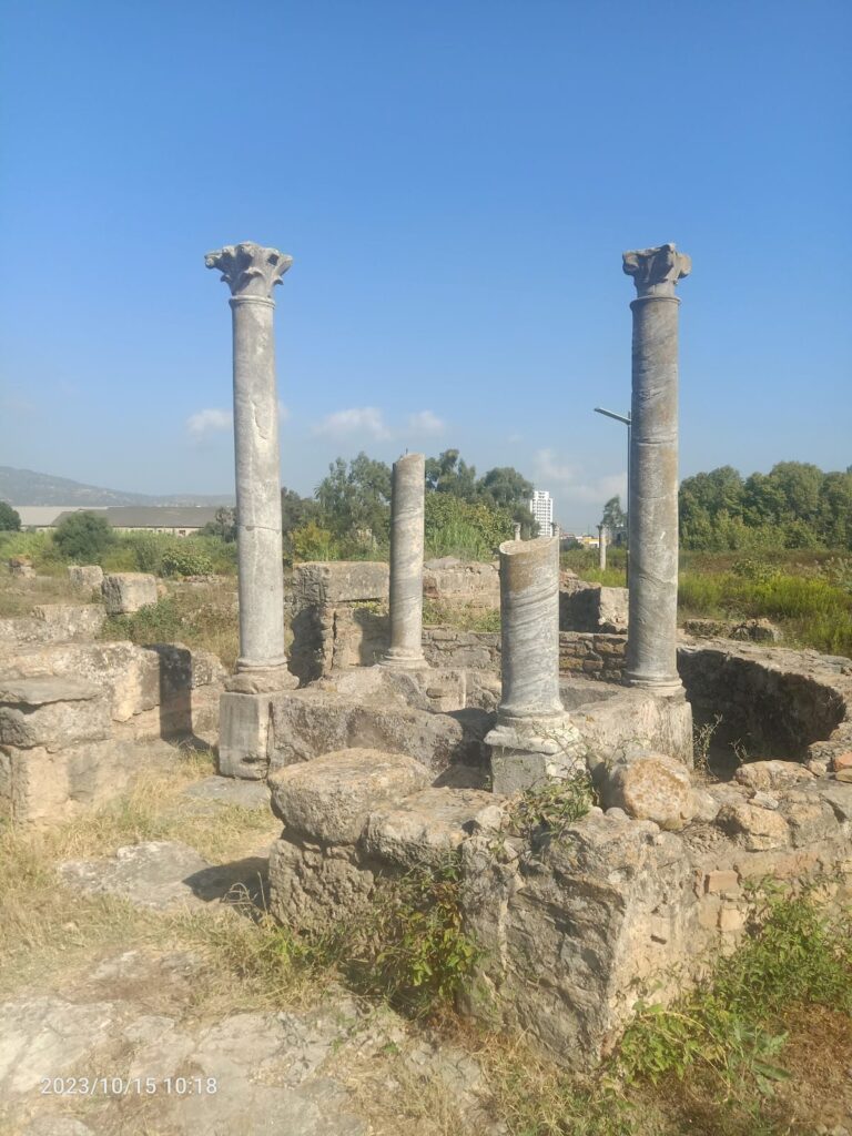 Ruins of Hippo (Hippo Regius): An Ancient Phoenician, Roman, and Christian City in Algeria 2 Ruins of Hippo (Hippo Regius)