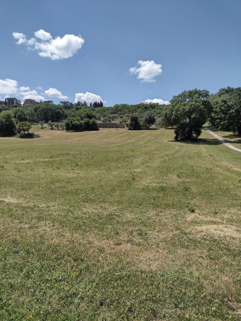 Archaeological Park of Urbs Salvia