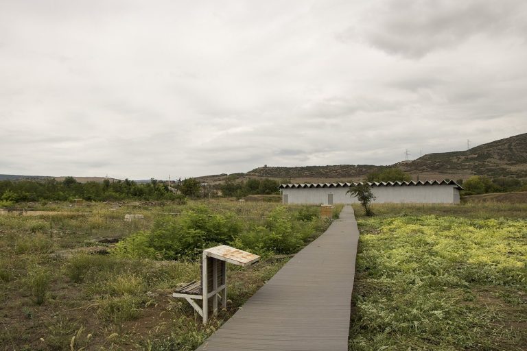 Dzalisa Archaeological Museum Reserve: An Ancient Iberian Settlement in Georgia