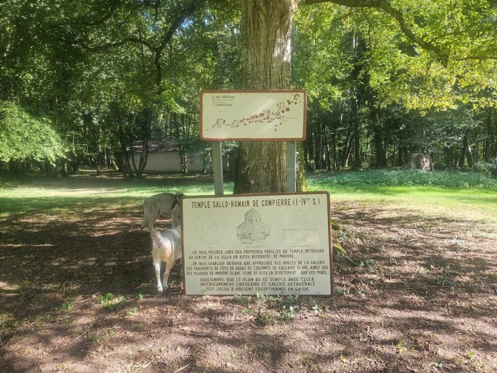 Compierre Archaeological Site: A Gallo-Roman Vicus in Central France 10 Archaeological Site of Compierre