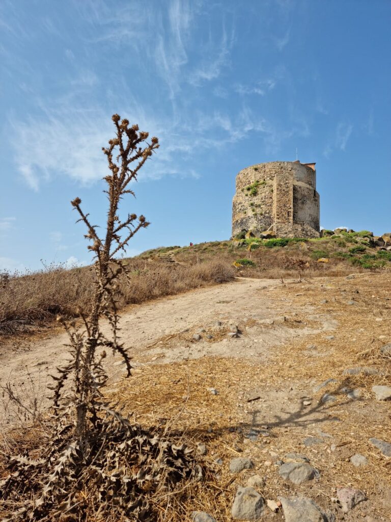 Tharros Archaeological Site: A Phoenician, Punic, and Roman Center in Sardinia 10 Archaeological Site of Tharros