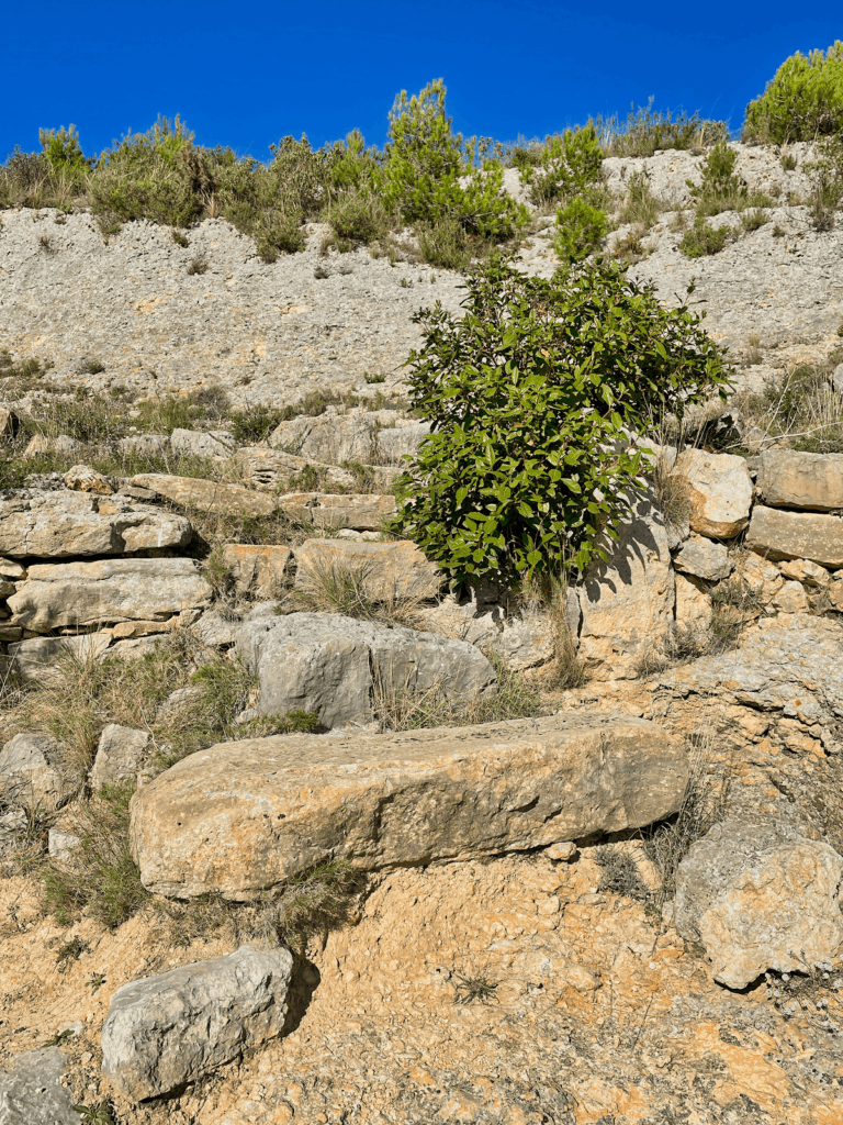 Archaeological Site of Roquepertuse