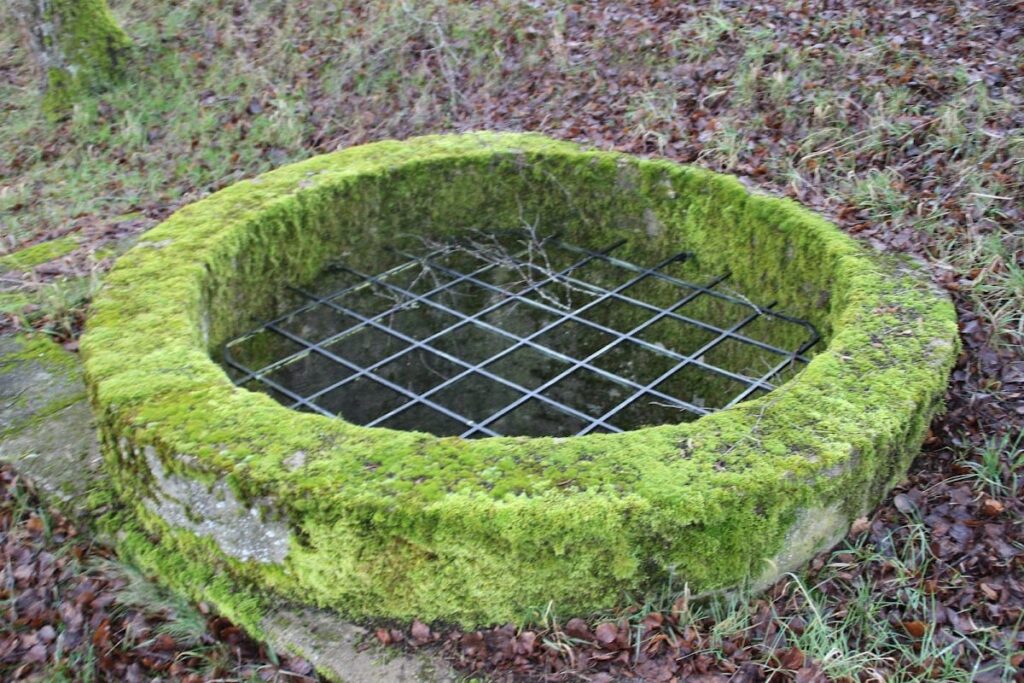 Ricciacum Archaeological Site: A Roman Vicus near Dalheim, Luxembourg 9 Ricciacum Archaeological Site