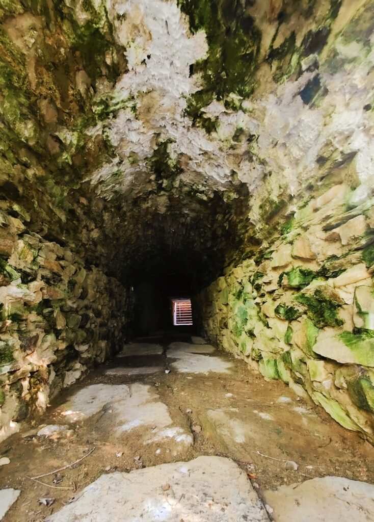 Virunum Amphitheater: A Roman Entertainment Venue in Austria 10 AMPHITHEATER VIRUNUM maria hall