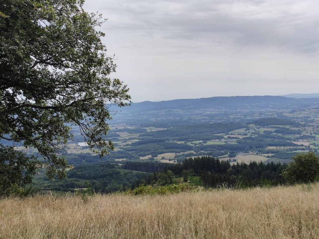 Bibracte: The Principal Oppidum of the Aedui in Central France 8 Bibracte