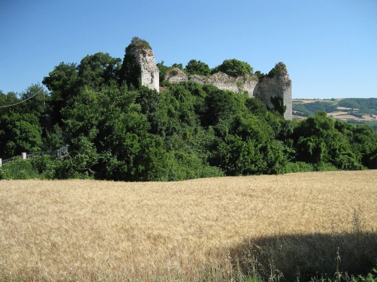 Sempronii (Forum Sempronii): An Ancient Roman Municipium in Italy