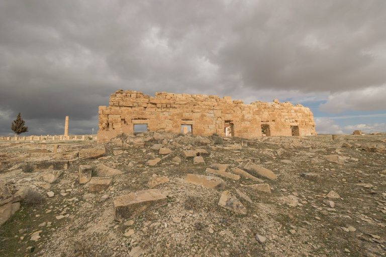 The Archaeological Site of Ammaedara: A Roman City in Tunisia