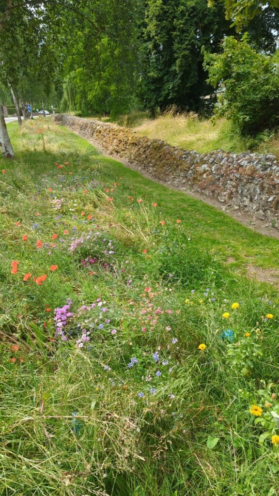 Roman walls of Tongeren