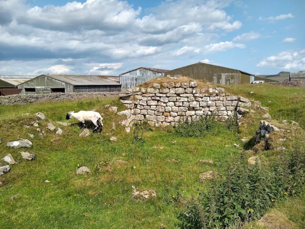 Aesica: A Roman Fort on Hadrian’s Wall 2 Aesica