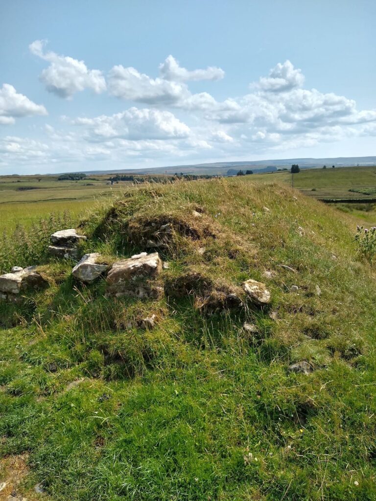Aesica: A Roman Fort on Hadrian’s Wall 3 Aesica