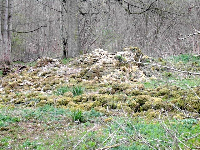 Spoonley Wood Roman Villa: A Romano-British Estate near Winchcombe