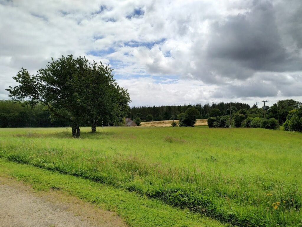 Temple of Mars, Corseul