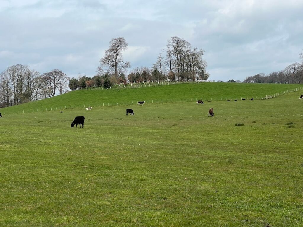 Alnwick Castle
