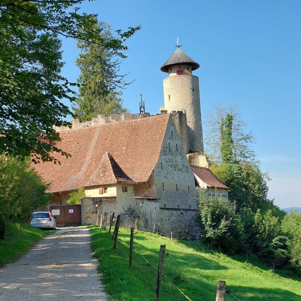 Birseck Castle: A Medieval Episcopal Fortress in Switzerland 2 Birseck Castle