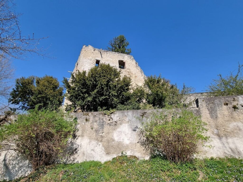 Birseck Castle: A Medieval Episcopal Fortress in Switzerland 5 Birseck Castle
