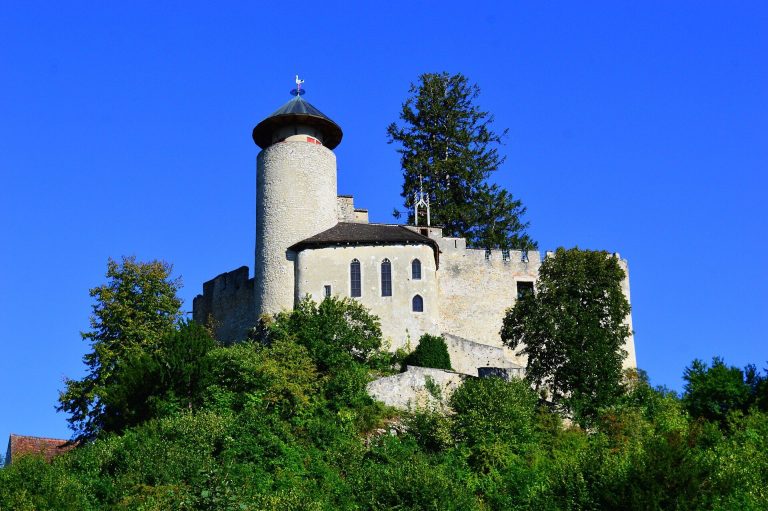 Birseck Castle: A Medieval Episcopal Fortress in Switzerland