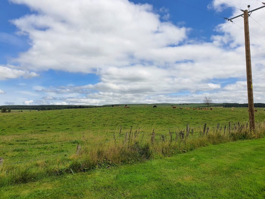 Blairquhan Castle: A Historic Estate in South Ayrshire, Scotland 9 Blairquhan Castle