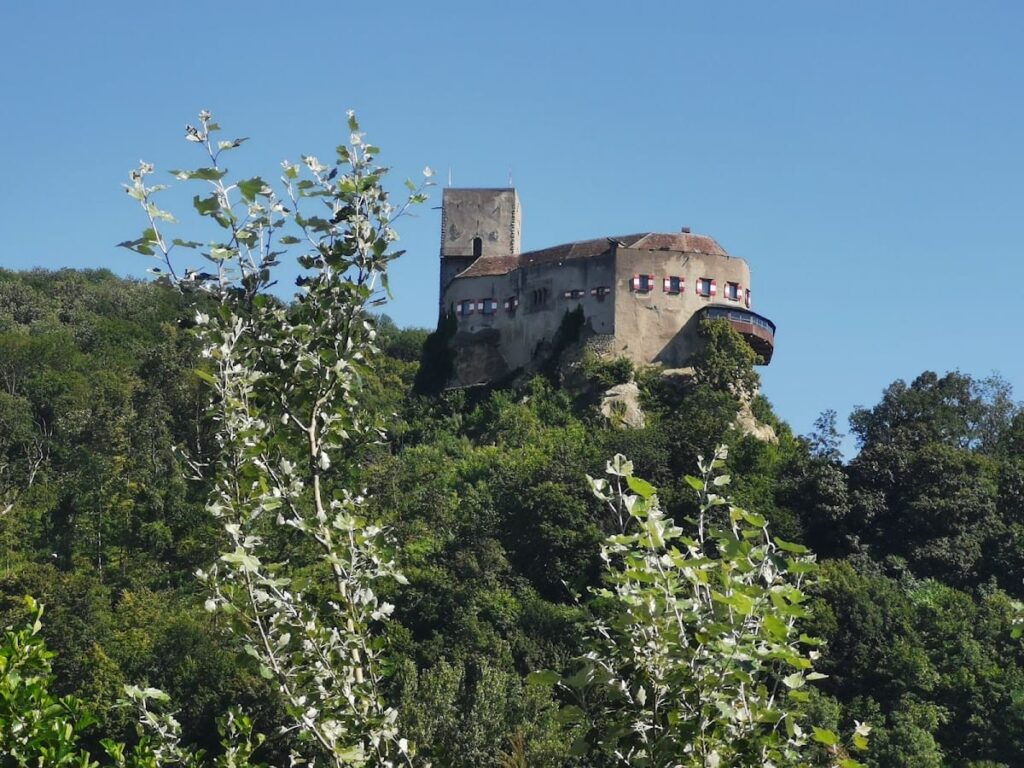 Burg Greifenstein