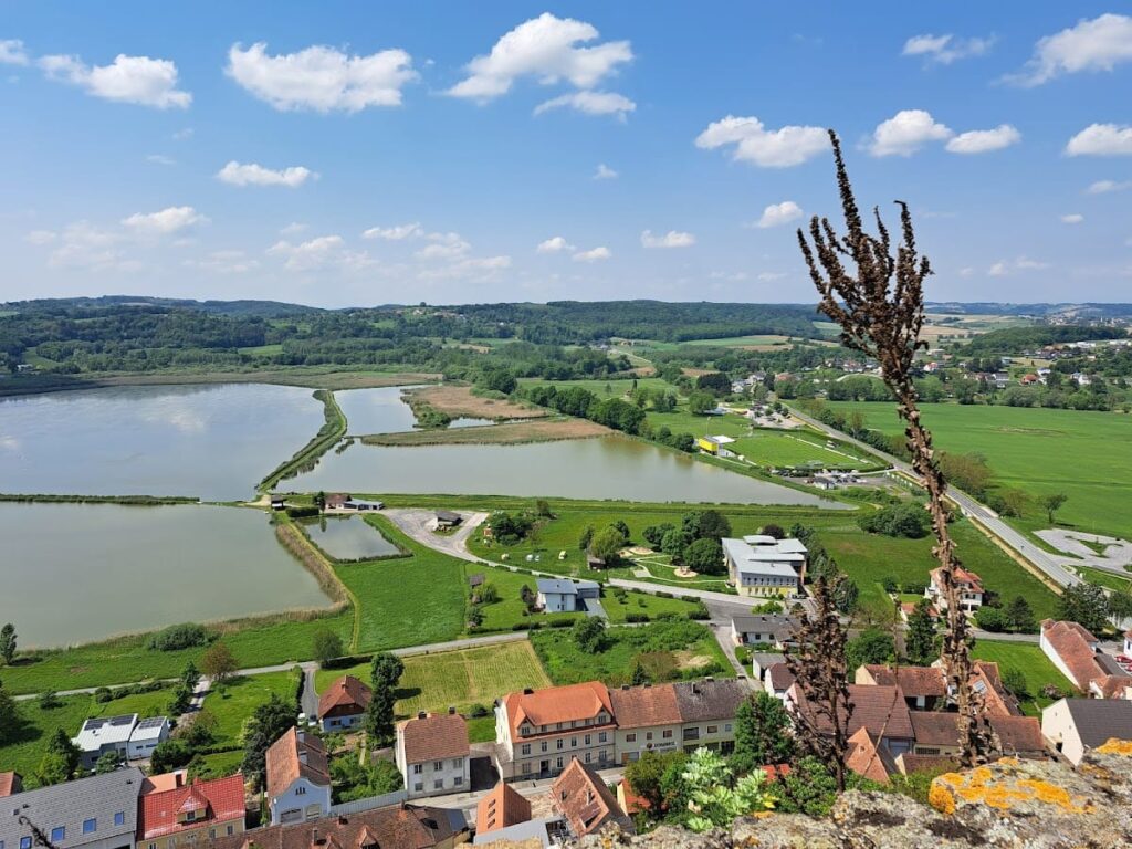 Güssing Castle: A Historic Fortress in Burgenland, Austria 9 Burg Gussing