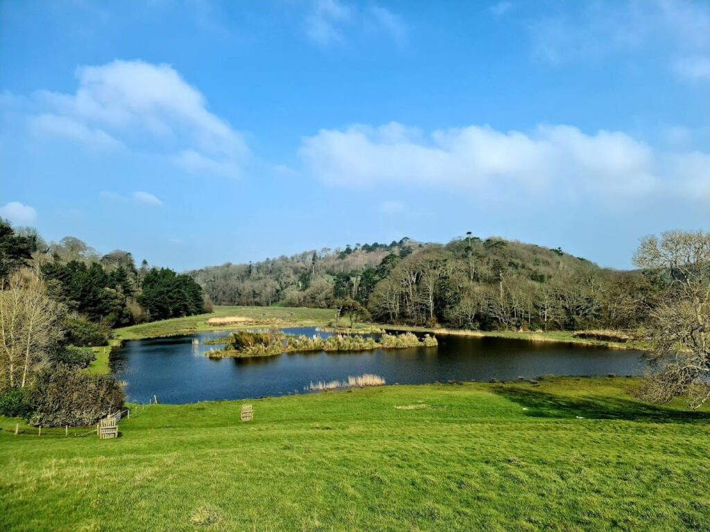 Caerhays Castle: A Historic Estate in Cornwall, England 9 Caerhays Castle