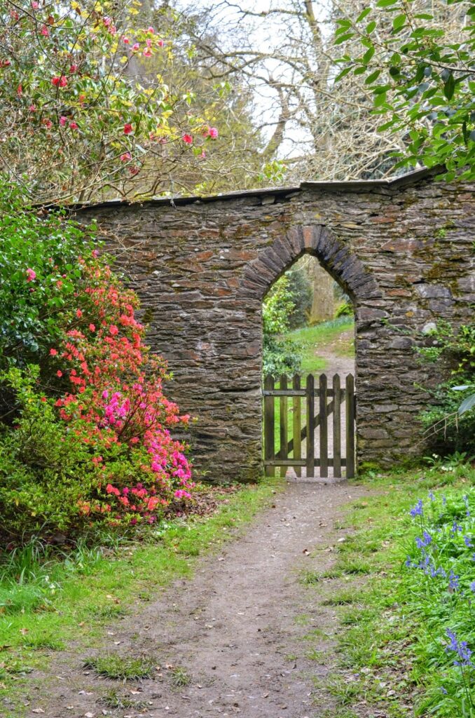 Caerhays Castle: A Historic Estate in Cornwall, England 10 Caerhays Castle