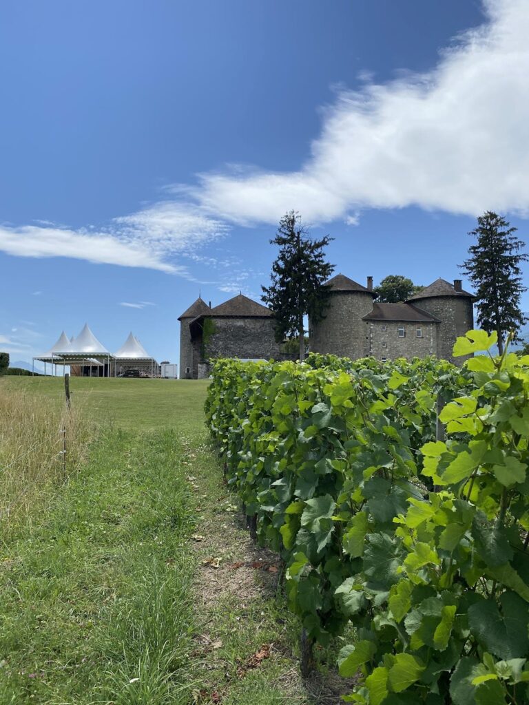 Castle Bayard: A Medieval Fortress in Pontcharra, France