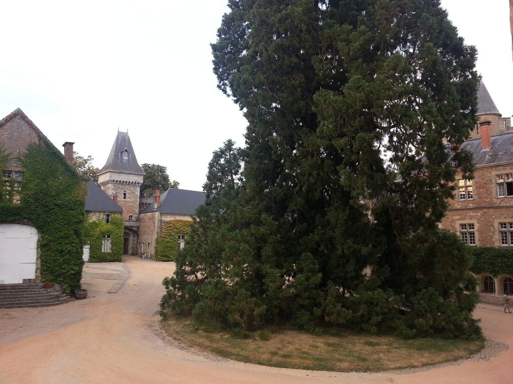 Castle Busset: A Fortified Bourbon Residence in France 2 Castle Busset