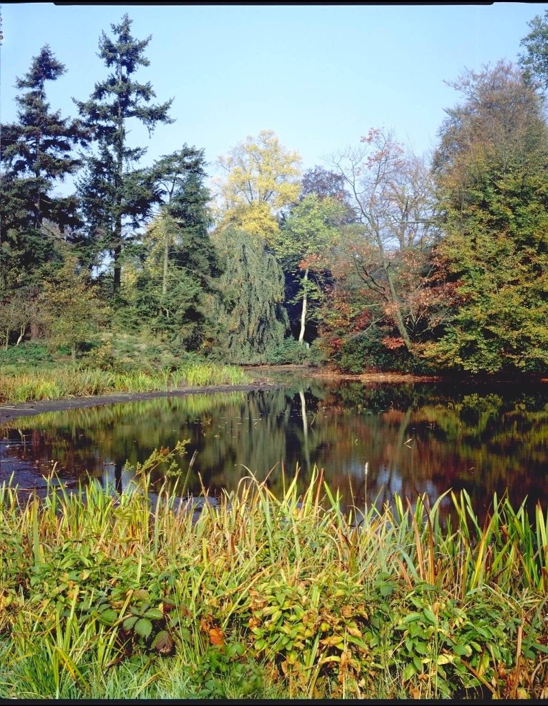 Castle de Renesse