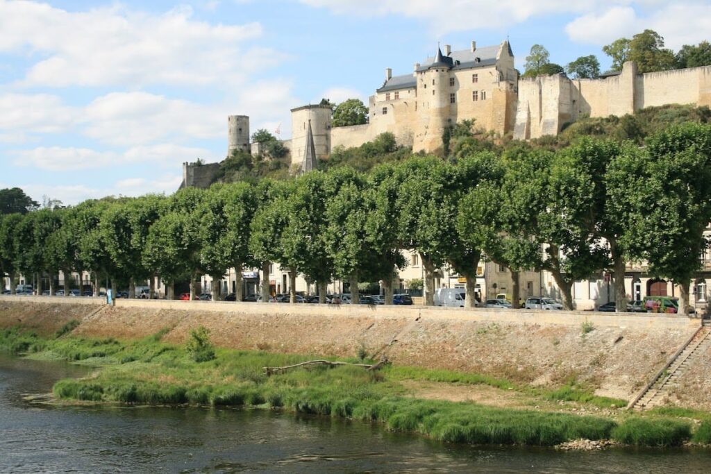 Château de Chinon: A Historic Castle in Central France 8 Castle of Chinon