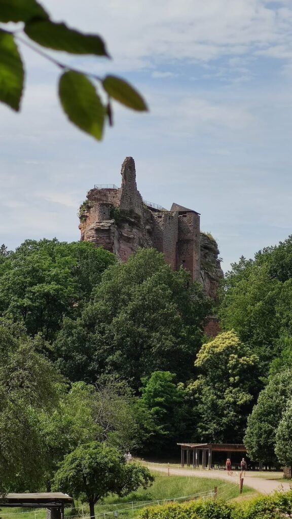 Castle of Fleckenstein: A Historic Fortress in Alsace, France 7 Castle of Fleckenstein
