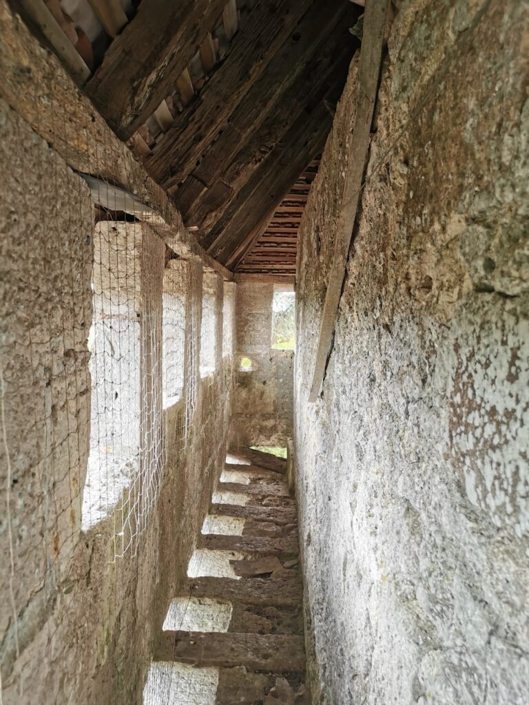 Castle of Gageac: A Medieval Fortress and Noble Residence in France 5 Castle of Gageac